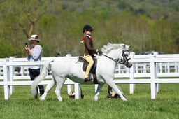 H19_0687 2026