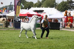 E34_1576 2026
