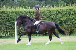 M36_0969 2026