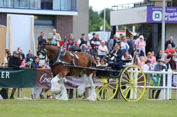 H46_7735 2026