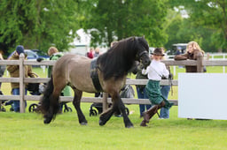 S29_0595 2026