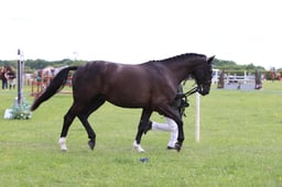 J36_6965 2026