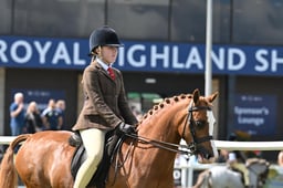 553 HOYS SHP 123cm