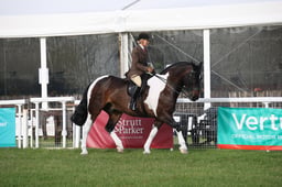 M43_5153 2026