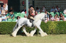 S61_0394 2026