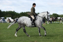 E36_0467 2026