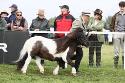 E29_0947 2026