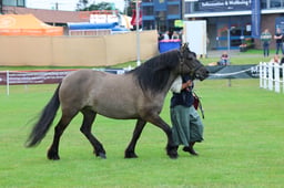 C44_0498 2026