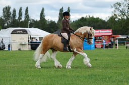 H36_7311 2026