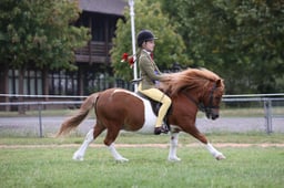 109C M&M Junior Ridden Championships