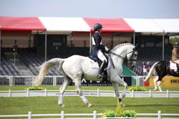 MEGS4619 2026