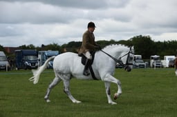 E36_0715 2026