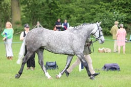 J36_6924 2026