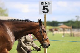 74 In Hand Foreign Breeds