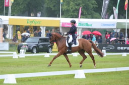 192 GREANNANSTOWN MONBEG JOE