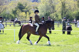 C19_2437 2026