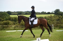 08 RoR Dressage Prelim 7