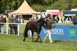 E31_0502 2026