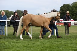 E29_0046 2026