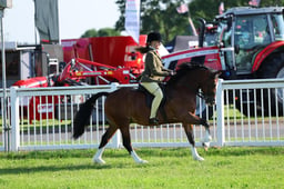 H33_3709 2026