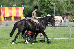 C33_0916 2026