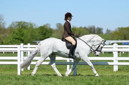 H19_1083 2026