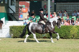 S61_0454 2026