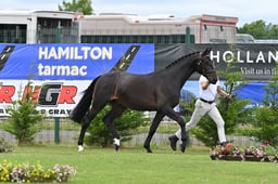 A44_1357 2026