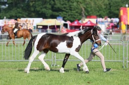 C34_0553 2026