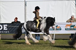 Ridden Coloureds