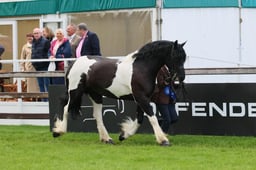 S28_9620 2026
