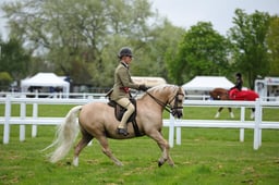 59-58 M&M Open Ridden Championships