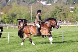 C19_0480 2026