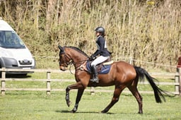 670 HERITAGE STELLOR LACCATO