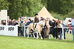 E30_3702 2026
