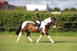 39 Amateur Cob