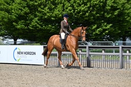 Amateur Small & LWT Hunter