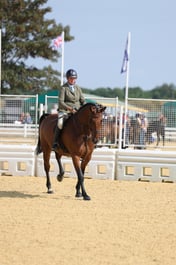F65_1315 2026