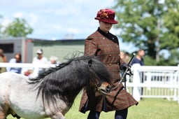 Z41_1493 2026