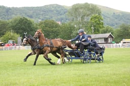 M43_6845 2026