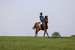 C26_0960 2026