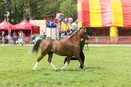 E34_2021 2026