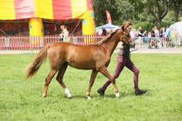E34_1773 2026