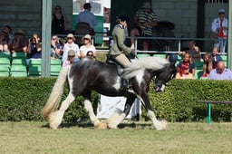 S61_0683 2026