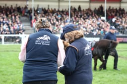 Shetland Grand National