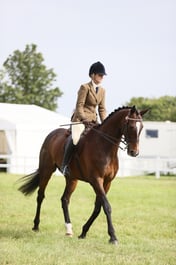 E43_3201 2026