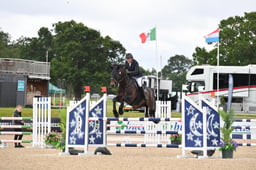 293 Hickstead Lad