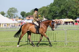 C34_0832 2026