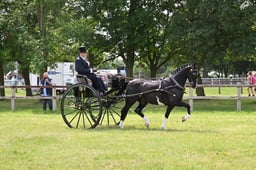 A43_0648 2026