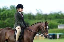 26  SEIB YHL Riding Club Pony